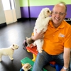 Central Bark Doggy Day Care gallery