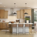 K. Hovnanian Homes Pacifica at Stanford Crossing - Home Builders