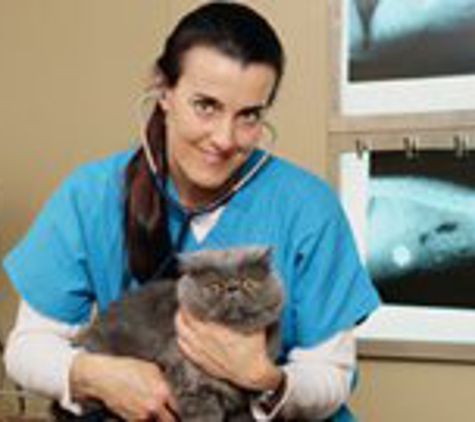 Throgs Neck Animal Hospital - Bronx, NY