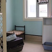 Gallery Image Number 7