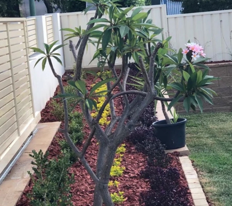 iview Landscapes - Kellyville, NSW