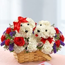 Cape Coral Florist - Florists