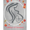 Cleveland OB/GYN gallery