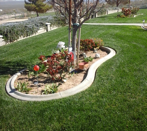 Alonso Landscape Care - Palmdale, CA