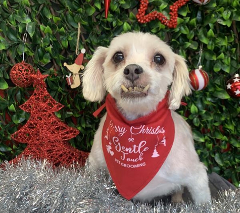Gentle Touch Pet Grooming - Toowoomba City, QLD
