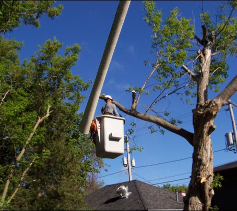 Turner Tree Service - Atco, NJ