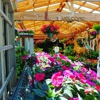 Ladera Garden & Gifts gallery