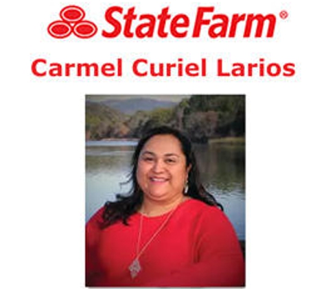 Carmel Curiel Larios - State Farm Insurance Agent - Santa Rosa, CA