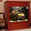 Aquarium Services By Dave - Aquariums & Aquarium Supplies-Leasing & Maintenance