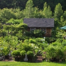 Catskill Native Nursery - Nurseries-Plants & Trees