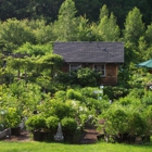 Catskill Native Nursery