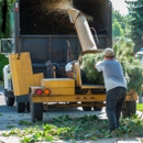 Bell Tree Service Company - Tree Service