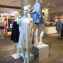 Loft - Women's Clothing