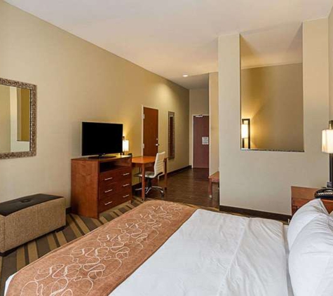 Comfort Suites near Tanger Outlet Mall - Gonzales, LA