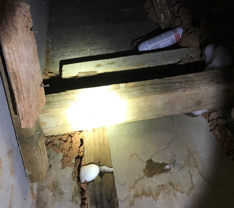 North Vic Pest Control - Swan Hill, VIC