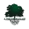 A Touch of Class Tree Service Inc. gallery