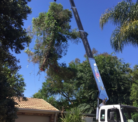 Brady Tree Service Pty Ltd