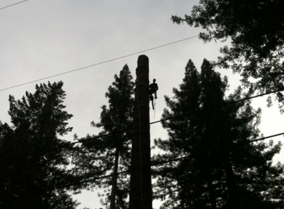 Christianson Tree Experts Co. - Boulder Creek, CA