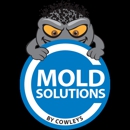Mold Solutions by Cowleys - Mold Remediation