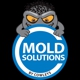 Mold Solutions by Cowleys