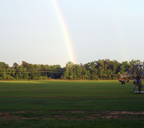 Snowhill Turf Farm - Fayetteville, NC