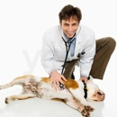 Country Pet Hospital - Pet Grooming