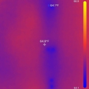 Fast Mold Testing - San Antonio - Mold Remediation