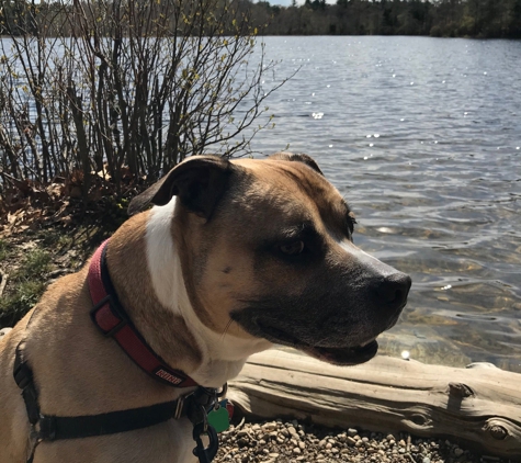 Borderland State Park - North Easton, MA