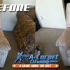 A Plus Carpet Cleaning gallery