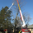 Michigan Tree Technologies - Tree Service