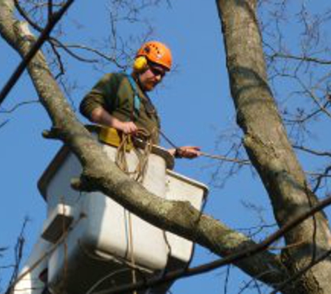 New England Tree Pros Inc - Monson, MA