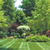 Melvin's Lawn & Landscape gallery