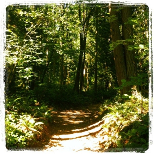 Bridle Trails State Park - Kirkland, WA