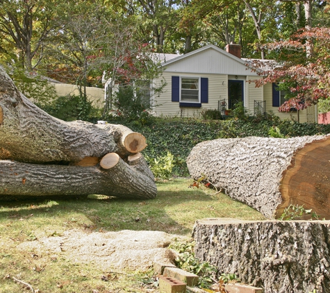 Rice's Tree Service & Landscaping - North Royalton, OH