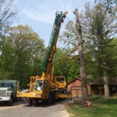 Akins-Alford's Tree Care - Arborists