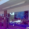 Malawi Aquatics gallery
