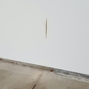 Gallery Image Number 1