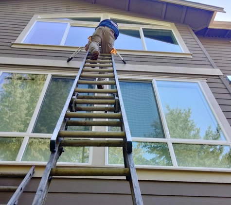 Roof Moss Gone - Bothell, WA