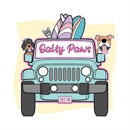 Salty Paws Pet Boutique and Barkery - Pet Grooming