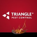 Triangle Pest Control - Pest Control Services