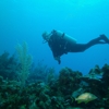 Anchor Bay Scuba Inc gallery