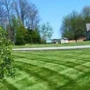 Cameron's Mowing Plus