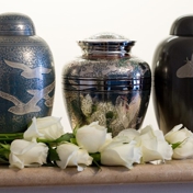 Gallery Image Number 8