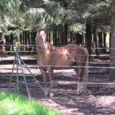 Dream Ridge Stables - Horse Boarding