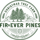 Firever Pines - Christmas Trees
