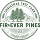 Firever Pines