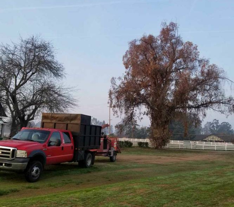 PR Tree Service - Paso Robles, CA