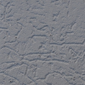 Gallery Image Number 6