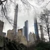 Central Park Carriage Tours gallery