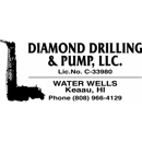 Diamond Drilling & Pump - Oil Well Drilling